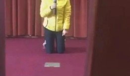 丽萍网友回应视频爆料,真相与澄清